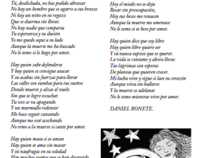 El Sobrepeso del Camello