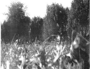 Off the Map Freedom Fighters